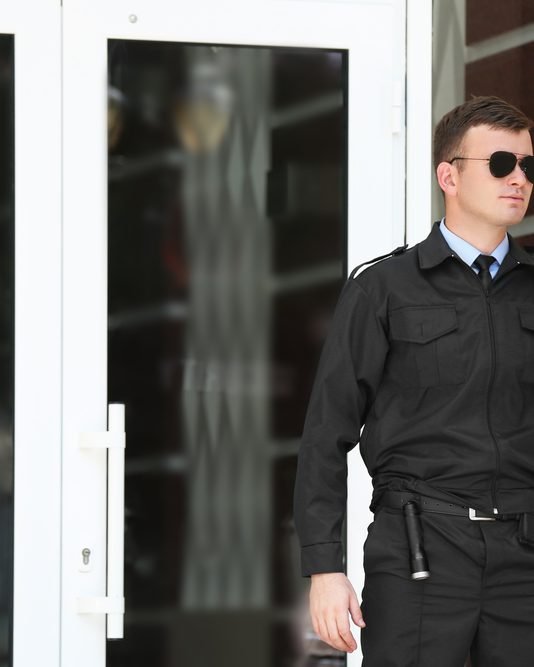 seguranca-privada-mercado